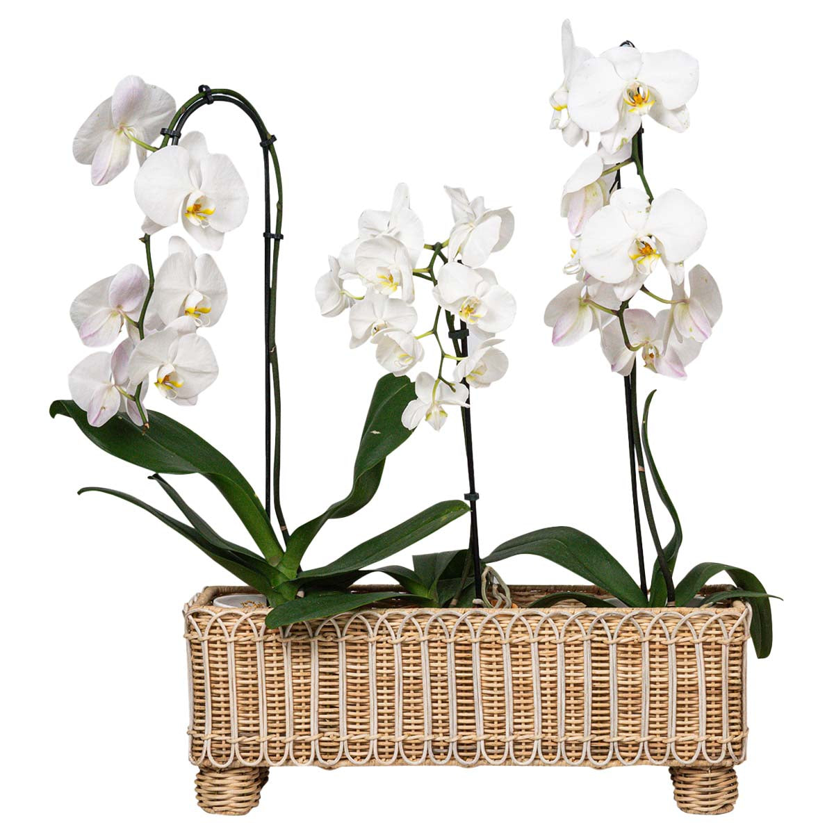 Provence Rattan Rectangular Planter - Whitewash - Image 2