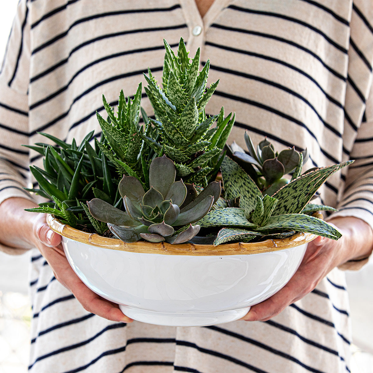Bamboo 11 Serving Bowl - Natural - Image 2