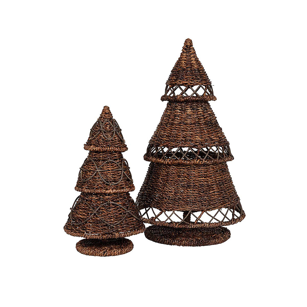 Devon Willow 16 Tree - Image 2