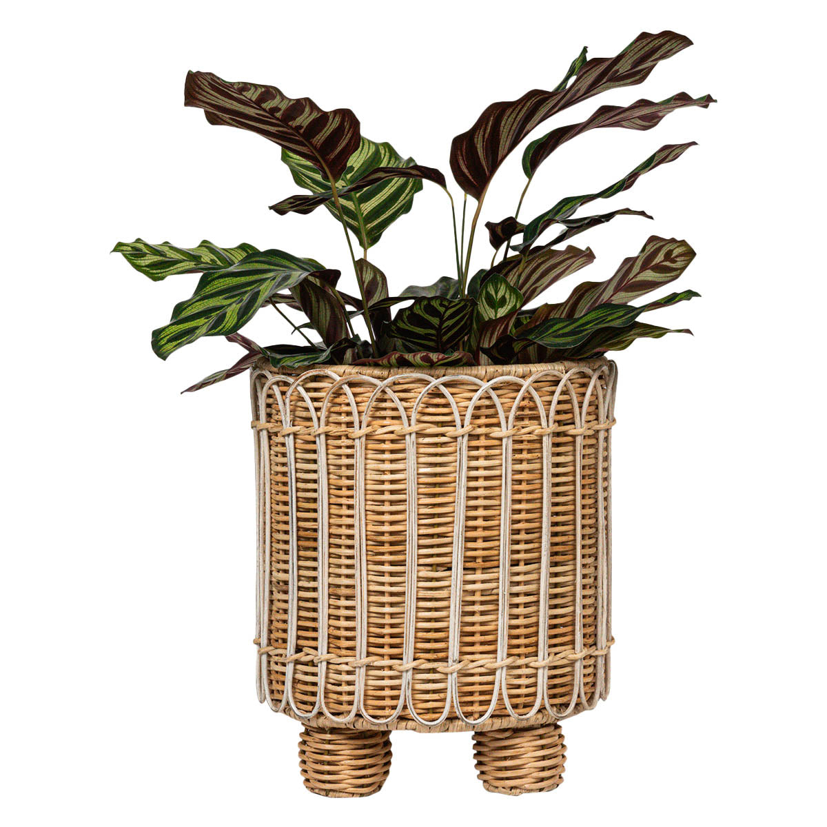 Provence Rattan 8 Round Planter - Whitewash - Image 2