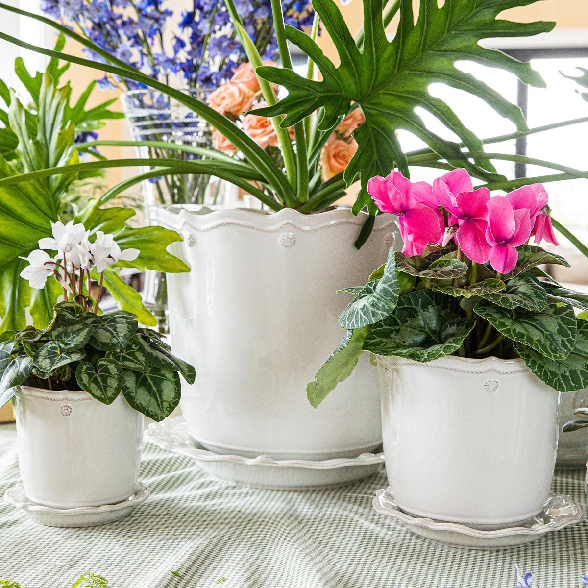 Berry & Thread 5 Planter - Whitewash - Image 4