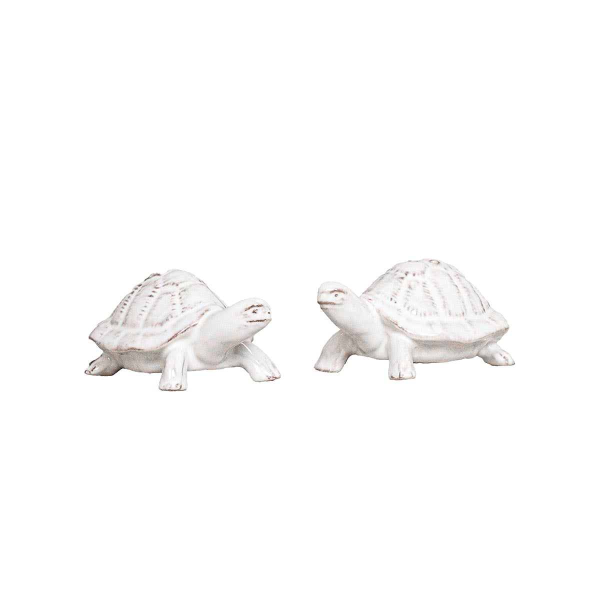 Clever Creatures Turtle Salt and Pepper Shakers Set/2pc