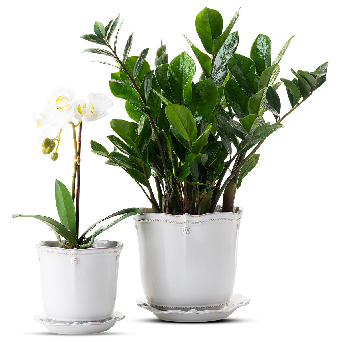 Berry & Thread 5 Planter - Whitewash - Image 3