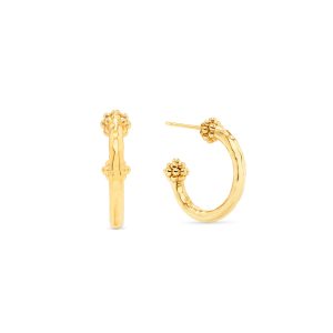 Berry Slice Small Hoop Earrings - Gold