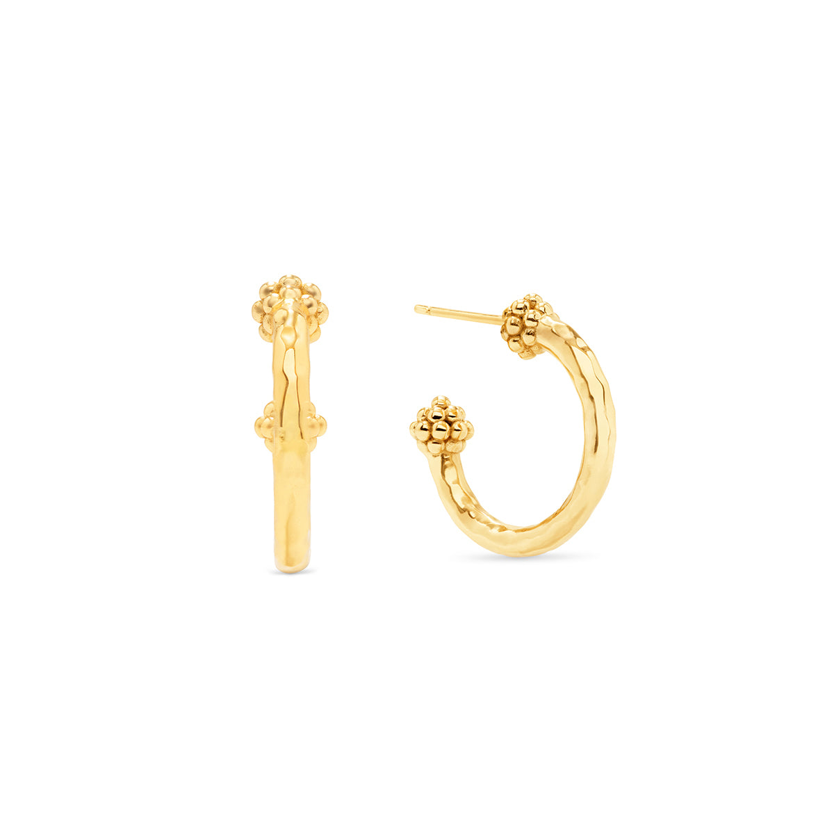 Berry Slice Small Hoop Earrings - Gold
